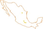 Sucursales en Mexico Mapa de sucursales